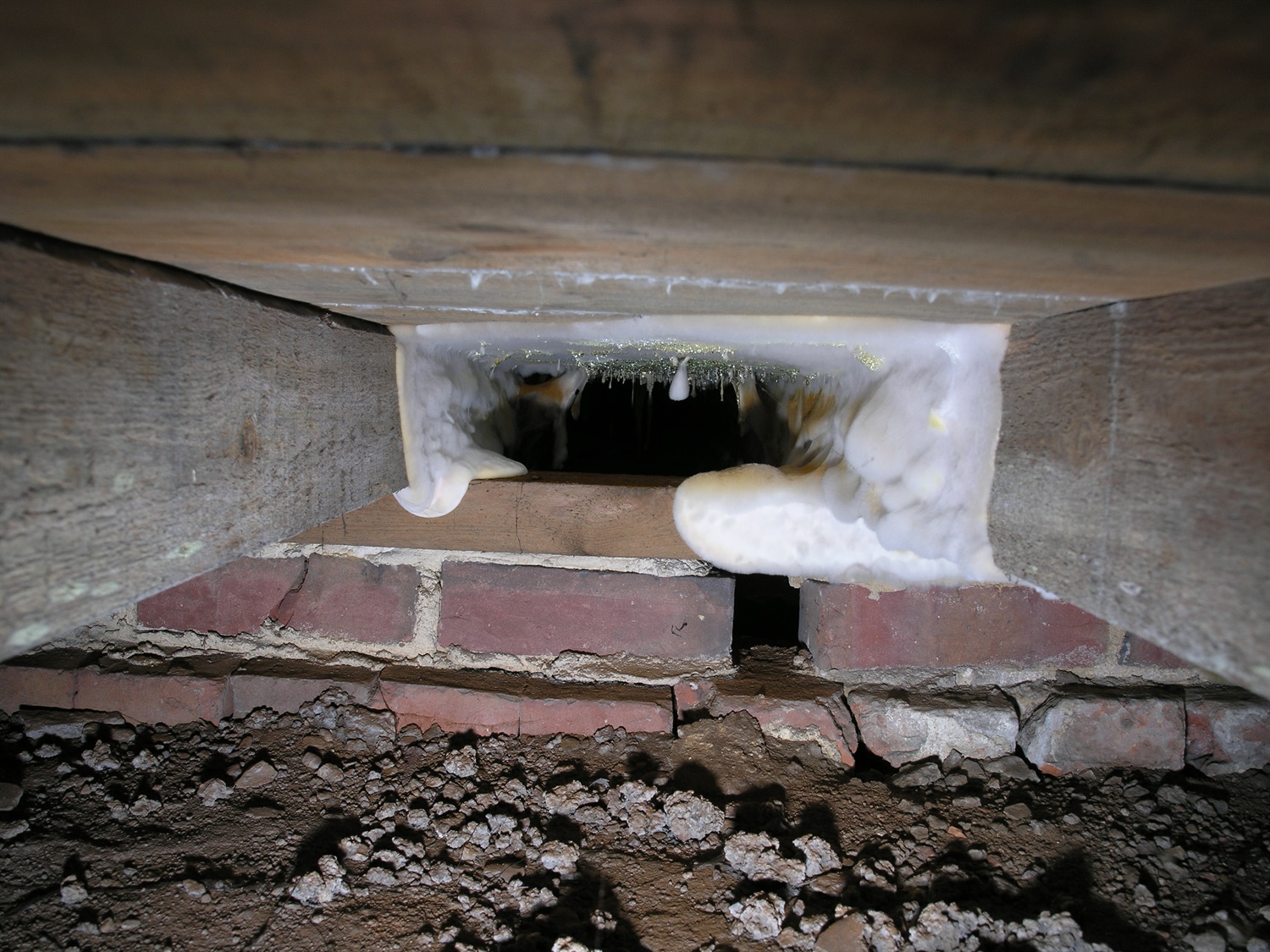 Dryrot  - Homeowner Help & Information - PCA